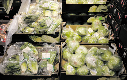 Greenpeace-Marktcheck