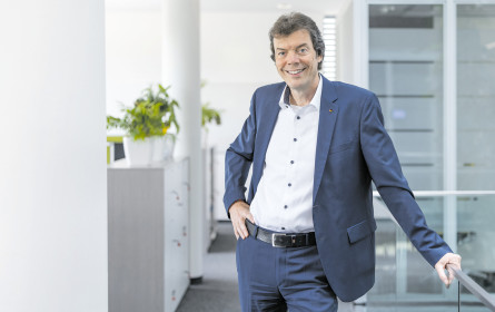 Die „Einserschmähs” in der Betriebskriminalität