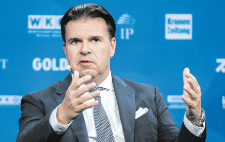 „50 bis 70 Millionen Euro wären ein Referenzwert”