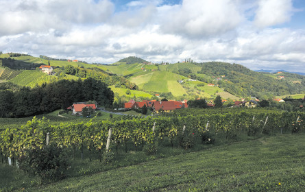 Grenzfeiern und Genusswandeln