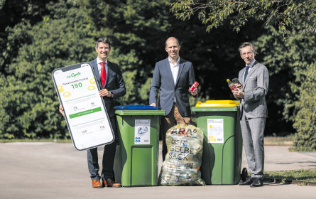 Der Erfolgsfaktor Incentivierung