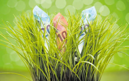 Nachhaltigkeit als Banken-Strategie