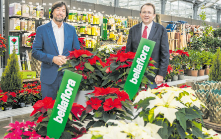 Regional optimal aufgeblüht