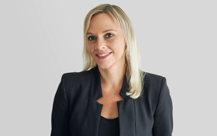 Beratung ohne Grenzen