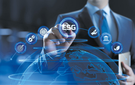 Verlieren Sie keine Investoren wegen ESG!