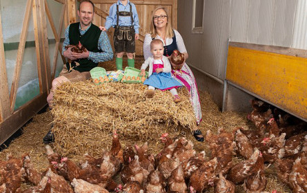 Eier von glücklichen Hühnern