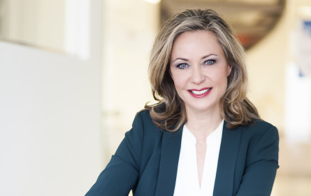 Skias. strategy + relations kommuniziert für Ward Howell International