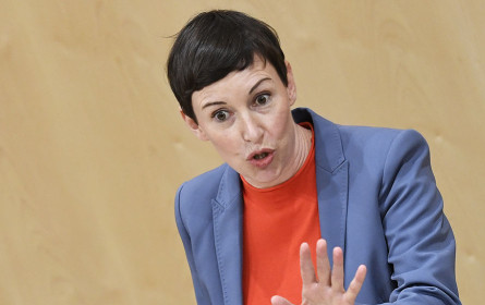 Menschenrechtsausschuss setzt Zeichen für Schutz von Journalisten bei Corona-Berichterstattung