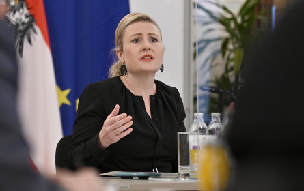 Inseratenvergabe und Medienförderung für Raab "zentrale Vorhaben"