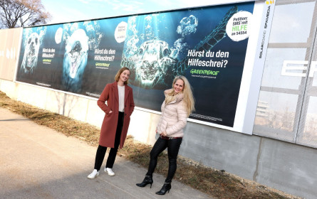 Mit Out-of-Home im Einsatz für das Meer