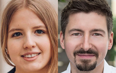 Warum sind Streaming-Plattformen bei Digital Natives so beliebt?