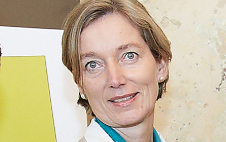 Medien als Instrument oder vierte Gewalt?