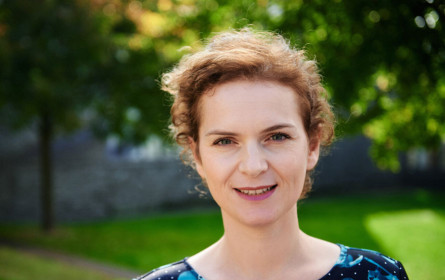 EU: Schutz gegen "Slapp"-Klagen