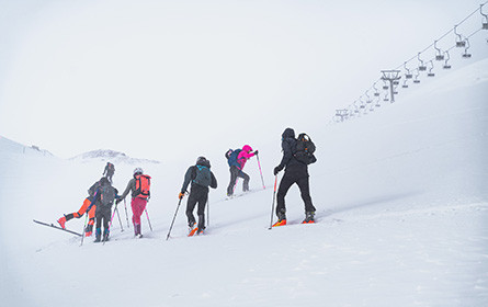 Tourenski, Felle & Co boomen bei Intersport