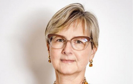 Herausfordernd, spannend, unterstützend und genau