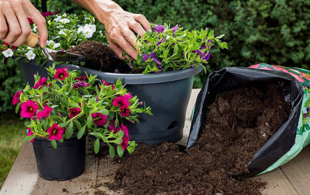 Platz 1 für bellaflora beim Greenpeace-Marktcheck