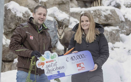 Wendige Alleskönner: Spar verlängert Gämsen-Patenschaft