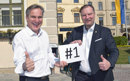 Mödling ist Nummer 1 bei der Leerstandsrate