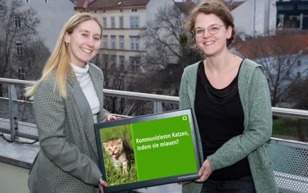 Verstärkung im Doppelpack für Infoscreen