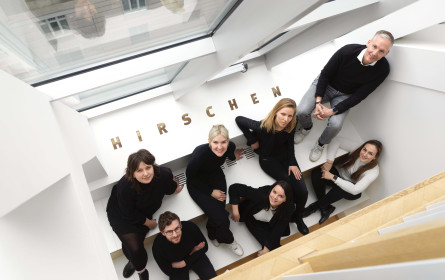 Hirschen über den Dächern Wiens