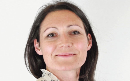 Abfalter folgt Höllerer