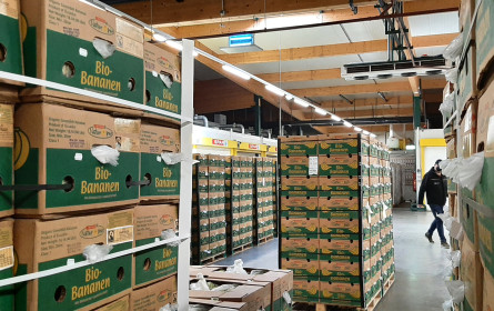 20 Jahre Fairtrade-Banane in Österreich