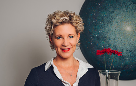 DMVÖ goes „Tools Day“