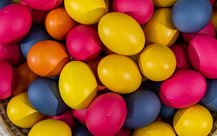 Haltung der Legehennen ist Konsumenten wichtig