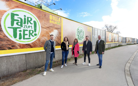 Billa: Außenwerbung für Tierwohl