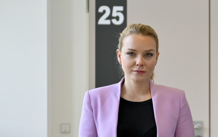 Causa Fellner: Gespräche über Vergleich im Finale