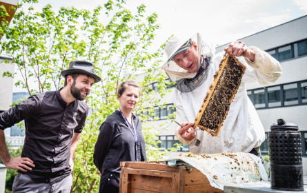 Bei ProsiebenSat.1 Puls 4 ziehen 100.000 Bienen aufs Dach