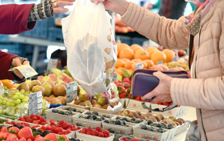 Krisenzeit bremst Kauflaune in Österreich stark