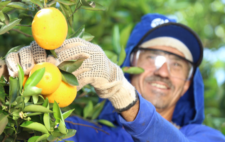 Umsatzrekord mit Fairtrade-Produkten im österreichischen Handel