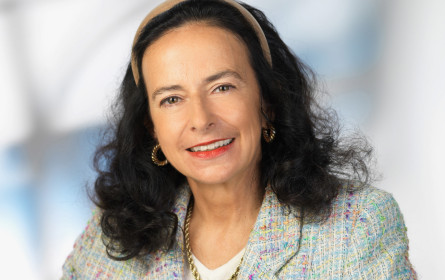 Weiterhin kein Schutz für Whistleblower in Österreich