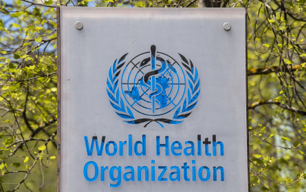 WHO prangert Online-Werbung für Alkohol an