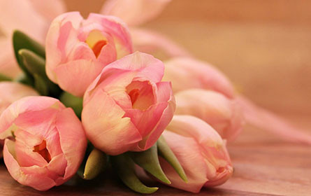 WKÖ-Obmann Rainer Trefelik: Muttertag ist wichtiger Impuls für den Einzelhandel