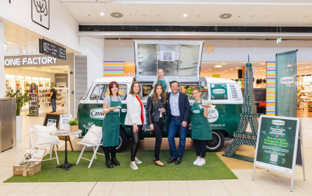 Divison 4 Group für Cassegrain