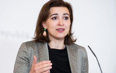 Senat der Wirtschaft fordert FlexCo mit Aus für Notariatspflicht