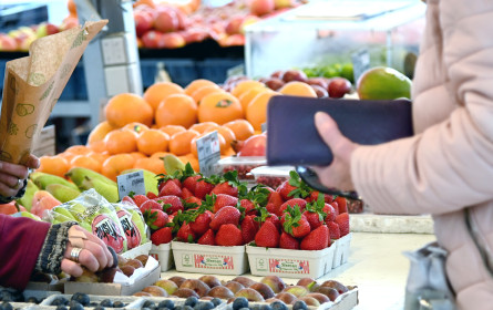 Agenda Austria: Preissteigerungen in allen Bereichen des täglichen Lebens