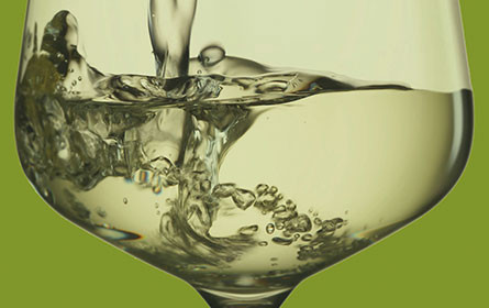 Weißwein Guide Austria 2022