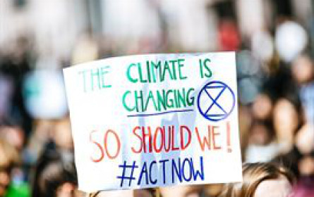 Social Impact Unternehmen Helioz gibt wertvolle Tipps, wie heimische Unternehmen grüner werden können.