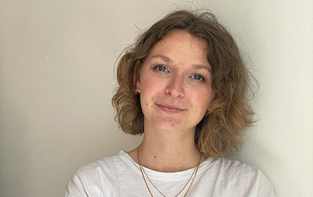 Social Impact Marke share wächst weiter