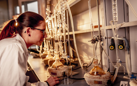 Digitalisierung trifft auf Gewürzhändler