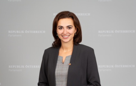 Hass im Netz: Zadic startet Info-Kampagne zur Prozessbegleitung