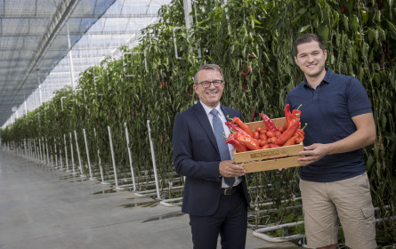Erstes Geothermie-Gewächshaus in OÖ