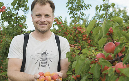 Staud’s bringt Früchte aus dem Weinviertel ins Glas