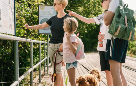 Waldquelle-Familien wandern wieder live