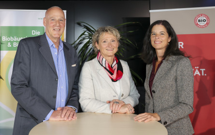 Bio-Einkäufe im Supermarkt weiter gestiegen