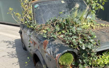 Jung von Matt und KlimaTicket: Ich bin dann mal weg!