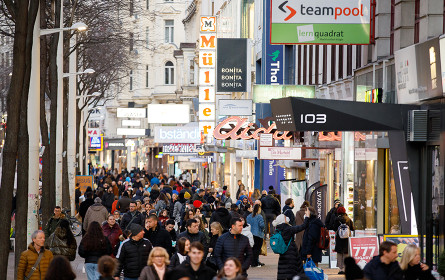 Österreichs Handel in Zahlen: Haushaltsausgaben 2022 bei 73,5 Mrd. Euro. Inflationsbereinigt -0,3% im Vergleich zum Krisenjahr 2021